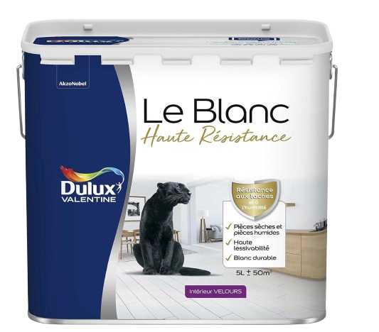 Peinture Le Blanc Haute Résistance 5L